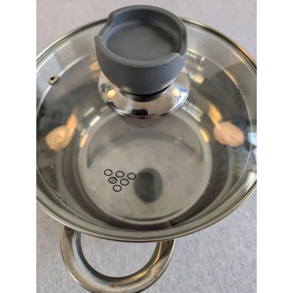 David Burke Gourmet Pro Stainless Steel Stockpot 3.3 Qt Glass Lid Double Handle
